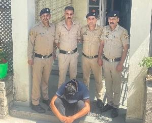 Shimla hotel murder case: Police arrested absconding cousin from Panchkula
