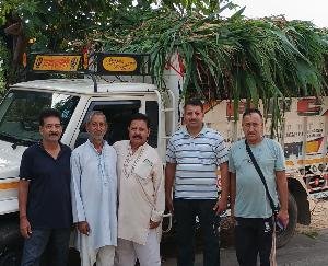  Social workers of Kariyada donated a trolley of green fodder to Moohal Gaushala