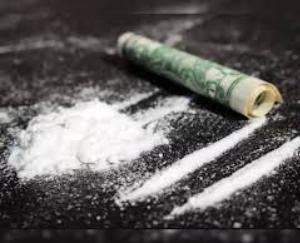 Kangra: 2 youths arrested for chitta smuggling in Sansarpur Terrace, case registered