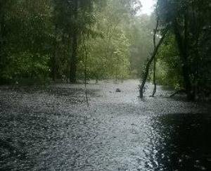There will be no relief from rain in Himachal yet, heavy rain alert in many districts till July 16