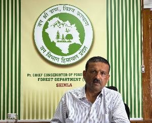  Himachal: Forest department set a target of bringing greenery on 1820 hectares of land