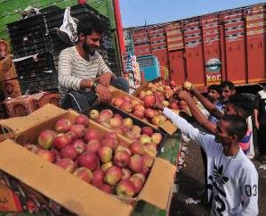 Himachal Apple Season: Special Road Tax Exemption for Trucks from Other States, Government Issues Notification