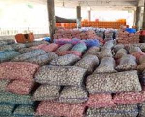 Garlic seeds arrive in Solan market, prices will be halved