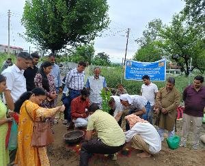  Jwalamukhi: Plantation started under HP project in Jakhota