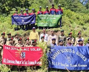 Kunihar: Children of BL School planted saplings.