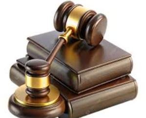 Kumari_Simran's_plea_was_also_rejected_in_the_double_bench_of_High_Court_Shimla_Amit_Rana