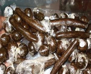 Bilaspur-4-youths-arrested-with-987.4-grams-of-hashish-in-Ghumarwin