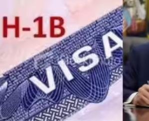  Trump's decision causes trouble for new H1-B visa applicants, $1 lakh fee