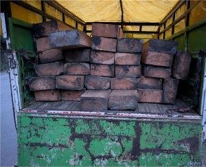 Kullu_Illegal_felling_of_forests_in_the_valley_vehicles_including_29_cedar_sleepers_seized