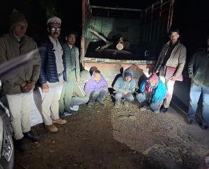 Jwalamukhi_Forest_department_seizes_8_chopped_Khair_trees_registers_case