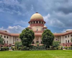 Relief_news_for_Himachal_gardeners_big_decision_of_SC_know_the_whole_matter