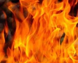 Himachal_Massive_fire_in_Kullu_Chamba_two_houses_and_eight_cow_shelters_burnt_to_ashes