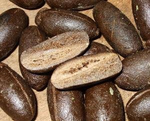 Shimla: More than 1 kg of hashish recovered from a youth during police patrol.