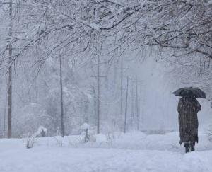Himachal_Cold_wave_continues_heavy_rain_and_snowfall_expected_today_know_the_update