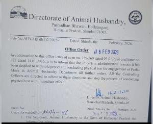 Himachal_No_more_carrying_heavy_bags!_Significant_changes_in_the_animal_friend_recruitment_process