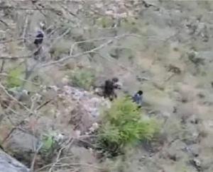Tragic accident in Kinnaur, two youths died after falling into a deep gorge