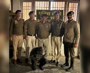 Shimla_Brother_kills_brother_after_consuming_alcohol