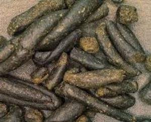 STF_team_takes_action_in_Kullu_890_grams_of_hashish_recovered_from_Volvo_bus