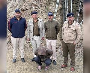 Shimla Police's major action: 9.17 grams of Chitta recovered, main supplier arrested from Chandigarh