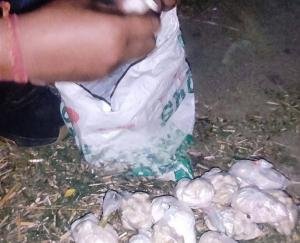 Major STF action in Una: 1 kg 5 grams of chitta recovered from car, three smugglers arrested