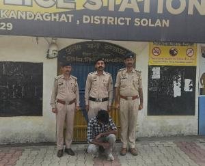 Major crackdown on Chitta smuggling in Kandaghat: Supplier from Punjab arrested