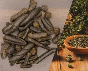 Two youths, including a woman, were arrested with hashish in Pathankot; the accused had come by bus from Chamba.