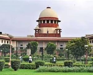 Himachal Urban Body Elections: Relief for government from Supreme Court; MLAs allowed to vote in Chairperson and Vice-Chairperson elections.
