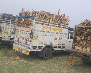 Illegal timber transportation exposed due to the vigilance of Nurpur police; three cases registered, and seven vehicles seized.