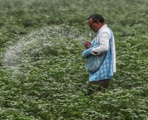 Farmers will not be compelled to buy Nano Urea; Agriculture Minister stated this in the House.