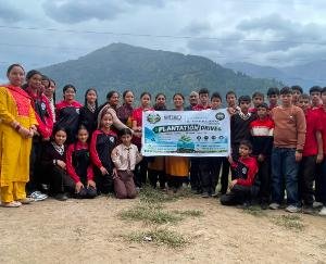 Environmental conservation initiative in Naggar: Shield Trust plants 14 Deodar saplings.