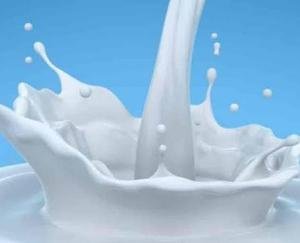 Milk will undergo strict testing during the festive season; here’s how you can detect adulteration at home.