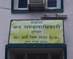 ग्रामीणों ने जंगली बिल्ली को समझा तेंदुए का बच्चा