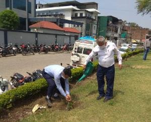 मैक्रोइक ने प्रदूषण विभाग के साथ मिलकर किया पौधरोपण