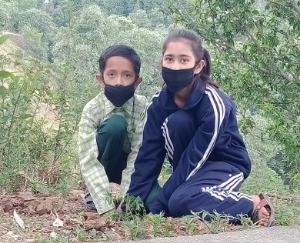 वरिष्ठ माध्यमिक विद्यालय घणागुघाट में मनाया विश्व पर्यावरण दिवस 