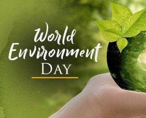 अंबुजा सीमेंट फाउंडेशन प्राइवेट आईटीआई दाड़लाघाट ने मनाया ऑनलाइन पर्यावरण दिवस 