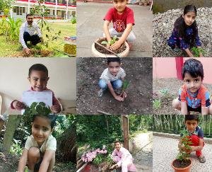 नन्हे मुन्ने बच्चे दे रहे पर्यावरण संरक्षण का संदेश