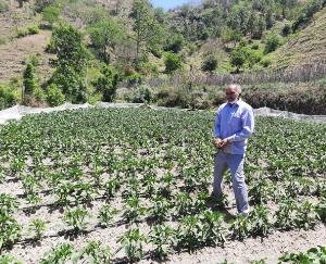 प्राकृतिक खेती कर किसान रोशन लाल ने पेश की मिसाल