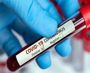 सोलन शहर में एक साथ 6 मामले आए सामने