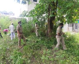 कुनिहार पुलिस ने छेड़ा भांग उखाड़ो अभियान