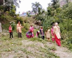 महिला मंडल ताल ने पेयजल स्रोत किए साफ, नशीली व जहरीली घास एवम झाड़ियों को भी काटा