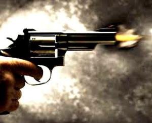 शस्त्र लाइसेंस में विशिष्ट पहचान संख्या अंकित करने की अंतिम तिथि 29 जून 2020