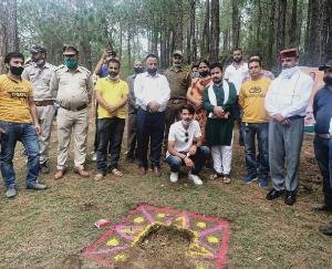 भाजयुमो कसौली ने किया पौधरोपण 