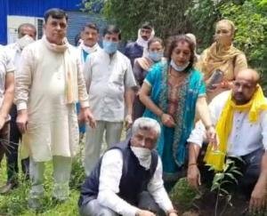 जिला कांग्रेस ने बिलासपुर के चारों विधानसभा क्षेत्रों में किया पौधरोपण
