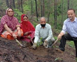 महिला मंडल रहेड़ ने आयोजित किया पौधरोपण कार्यक्रम 