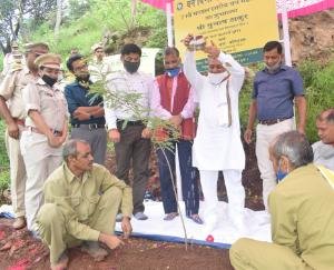 सिहडा में 71वें वन मण्डल स्तरीय वन महोत्सव पर पौधरोपण कार्यक्रम आयोजित  