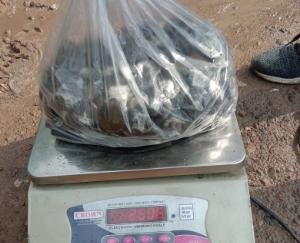 पुलिस की एसआईयु टीम ने कर दिखाया कारनामा, बरामद की इतने किलो चरस  