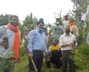 भाजयुमो घुमारवीं ने किया पौधरोपण कार्यक्रम का आयोजन 