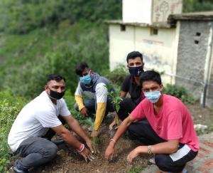 भाजयुमो अर्की ने पौधरोपण कार्यक्रम किया आयोजित 