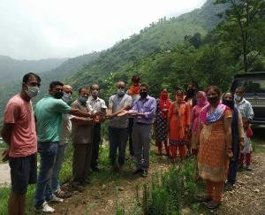 भाजपा युवा मोर्चा अर्की ने आयोजित किया पौधरोपण कार्यक्रम