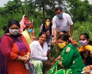 पूर्व विधायक के एल ठाकुर ने ग्राम पंचायत भोगपुर में किया पौधरोपण